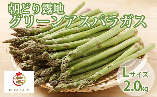 【2027年5月より発送】北海道 富良野市産 アスパラ 緑 (Lサイズ) 約2kg (60～95本前後) 朝どり 露地 グリーン アスパラガス 詰め合わせ 野菜 新鮮 数量限定 先着順【藏ファーム】