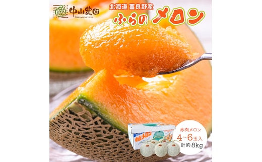 【2026年夏発送】北海道 富良野産 赤肉メロン 4～6玉 大箱8kg メロン フルーツ 果物
