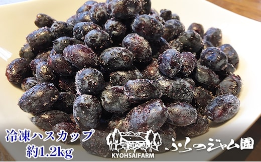 ◆ふらの ジャム園◆冷凍 ハスカップ 4袋セット (果物 フルーツ 冷凍食品 新鮮 産地直送 北海道 送料無料 道産 富良野 ふらの 人気)