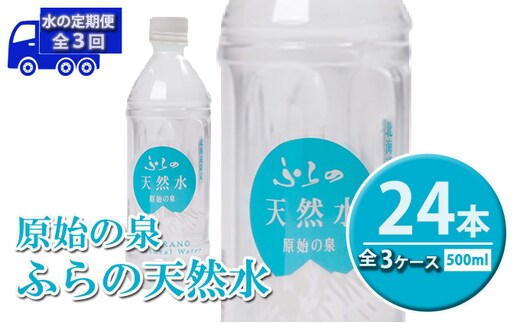 ≪3ヶ月定期便≫ふらの天然水【原始の泉】500ml×24本入 (水 新鮮 便利 天然 ペットボトル 北海道 送料無料 道産 富良野市 ふらの)