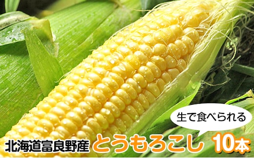 【2026年夏発送】北海道 富良野産 生で食べられる とうもろこし【恵味(めぐみ)】 10本 コーン