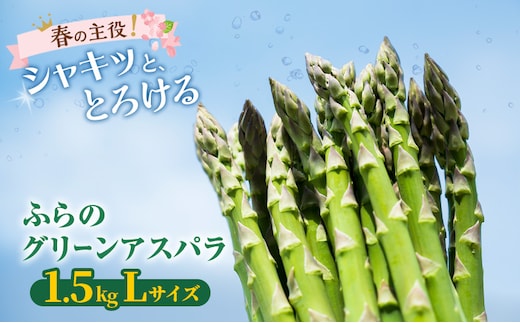 【2027年春発送】富良野産 グリーンアスパラ Lサイズ 約1.5kg アスパラ 野菜 アスパラガス