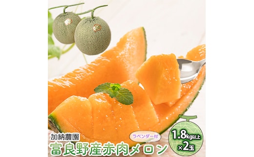 【2026年7月～発送】富良野産 赤肉 メロン ≪ラベンダー付≫ 2玉 計3.6kg以上 北海道 富良野市 (加納農園) メロン フルーツ 果物 新鮮 甘い 贈り物 ギフト 道産 ジューシー おやつ ふらの ブランド 夏