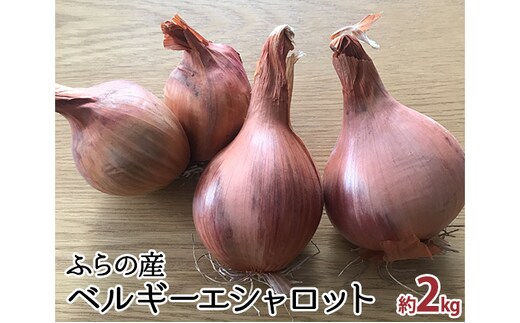 【2026年10月中旬～発送】希少！香味 野菜 ベルギーエシャロット ふらの産 約2kg 北海道 富良野市 (岡本ファームズ) 新鮮 玉ねぎ 直送 道産 ふらの 送料無料 数量限定 先着順