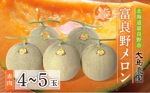 【2026年7月中旬～発送】ふらのメロン 赤肉 4～5玉 計8kg以上 北海道 富良野市 (大島農園)