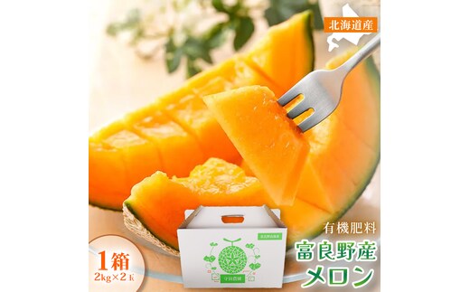 【糖度15度以上 赤肉メロン】富良野産 特秀品メロン 2kg×2玉 1箱｜北海道富良野市 7～8月発送 贈答用 ギフト プレゼント メロン 赤肉メロン 富良野メロン 果物 フルーツ とろける甘さ 夏季限定 旬の味覚 芳醇な香り
