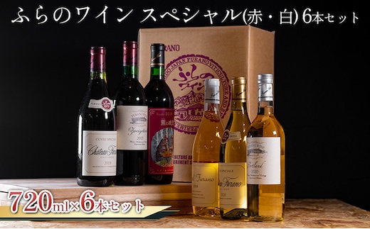 ふらのワイン スペシャル（赤・白）6本セット (お酒 酒 ワイン ぶどう 飲み物 アルコール 北海道 送料無料 道産 富良野市 ふらの)