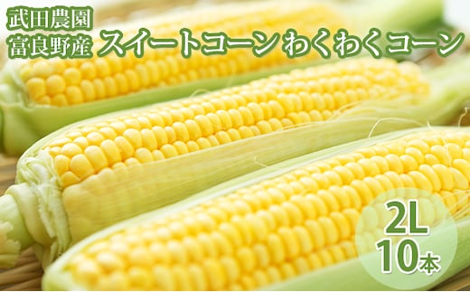 2026年夏発送 ［武田農園とれたて直送］スイートコーン わくわくコーン 2L 10本 みずみずしく抜群にあまい！北海道 富良野産 (とうもろこし 野菜 新鮮 とうきび 甘い 産地直送 先行予約 限定)