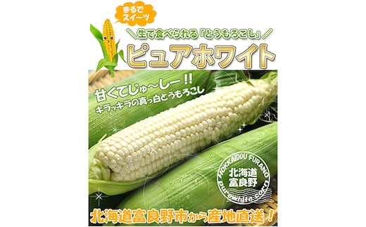 【2026年夏発送】とうもろこし ピュアホワイト 10本 L～2Lサイズ 富良野産 生で食べられる