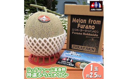 【2026年6月下旬～発送】特選 ふらの メロン 1玉 約2.5kg 北海道 富良野市 赤肉メロン (ジュラファーム富良野) メロン フルーツ 果物 新鮮 甘い 贈り物 ギフト 道産 ジューシー おやつ ふらの ブランド 夏