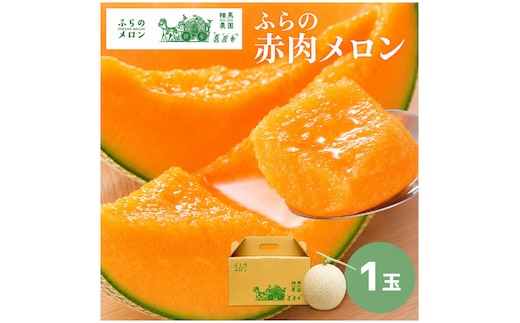【2026年6月～発送】富良野 赤肉 メロン 1玉入 2kg前後 大玉 (相馬農園) メロン フルーツ 果物 北海道