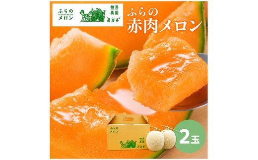 【2026年6月～発送】富良野 赤肉 メロン 2玉入 計4kg前後 大玉 (相馬農園) メロン フルーツ 果物 北海道