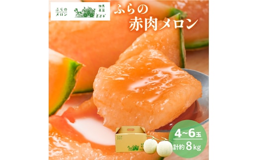 【2026年6月～発送】富良野 赤肉 メロン 4～6玉入 計約8kg 大玉 (相馬農園) メロン フルーツ 果物 北海道