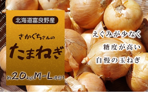 【富良野産】2026年秋発送 さかぐちさんの たまねぎ 約20kg（M-Lサイズ混合）野菜 玉ねぎ
