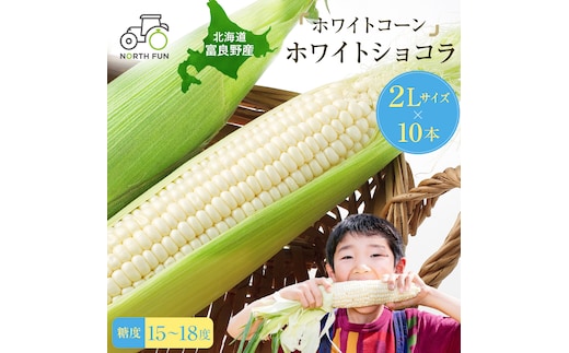 【2026年7月～発送】富良野産 ホワイトコーン『ホワイトショコラ』BIG 2Lサイズ10本 とうもろこし