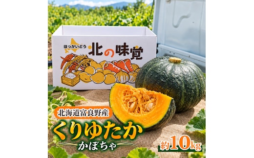 【2026年秋～発送】北海道 富良野産 くりゆたか カボチャ 10kg かぼちゃ (山本農園) 野菜 新鮮 直送 いも 道産 送料無料 数量限定 先着順 北海道 富良野市 ほくほく 秋