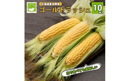 【2026年夏発送】とうもろこし ゴールドラッシュ 10本 北海道 富良野産 とうきび コーン
