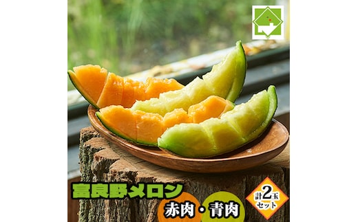 【数量限定！】北海道 富良野メロン 赤肉・青肉 計2玉セット 計2.8kg以上 メロン フルーツ 果物