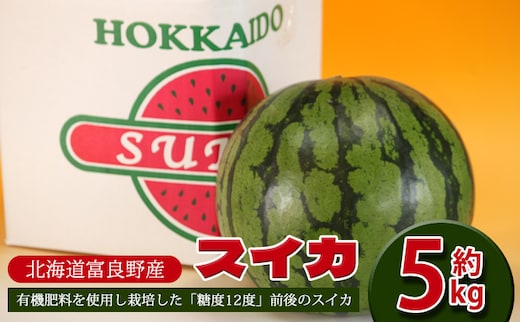 【2026年夏発送】スイカ 約5kg 北海道 富良野産 フルーツ 果物 すいか