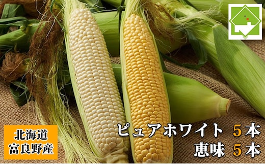 【2026年夏発送】とうもろこし 2種類セット 10本入 生で食べれる ピュアホワイト＆恵味