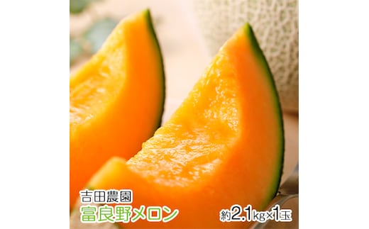 【2026年8月下旬より発送】北海道 富良野 メロン 赤肉 約2.1kg×1玉 (吉田農園) メロン フルーツ 果物 新鮮 甘い 贈り物 ギフト 道産 ジューシー おやつ ふらの ブランド 夏