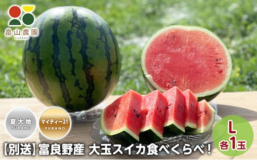 先行予約【食べ比べ】 2026年夏発送 富良野産 大玉 スイカ L 各1玉(夏大地・マイティ21) 北海道 ふらの すいか 西瓜 夏 フルーツ ふらの 甘い 糖度 大きい 大だま セット 別送 (畠山農園）