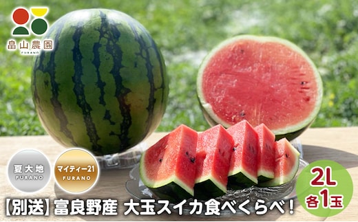 先行予約【食べ比べ】2026年夏発送 富良野産 大玉 スイカ2L 各1玉(夏大地・マイティ21) 北海道 ふらの すいか 西瓜 夏 フルーツ ふらの 甘い 糖度 大きい 大だま セット 別送 (畠山農園）