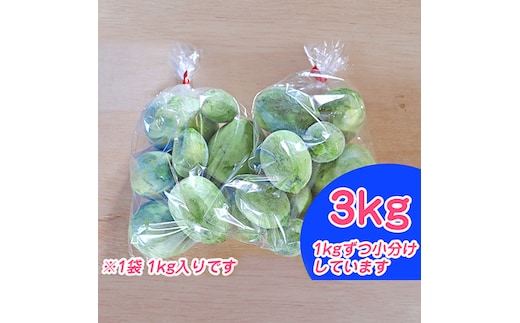 北海道 富良野市 摘果メロン 3kg ≪1kg×3袋≫ お漬物用 2026年 春夏発送 (中山農園)