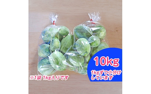 北海道 富良野市 摘果メロン 10kg ≪1kg×10袋≫ お漬物用 2026年 春夏発送 (中山農園)