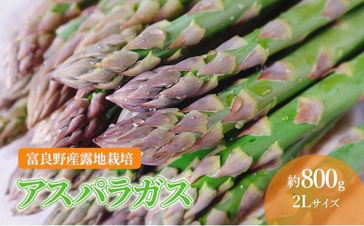 【2027年春発送】 北海道 富良野産 アスパラガス 2Lサイズ 約800g 露地栽培 (山本農園) 野菜 新鮮 直送 朝採り アスパラガス 道産 北海道 ふらの