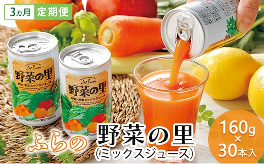 【 3ヵ月 定期便 】ふらの 野菜の里 160g×30本入 野菜 果物 ミックスジュース (ジュース 野菜ジュース 飲み物 缶 北海道 送料無料 道産 富良野市 ふらの)