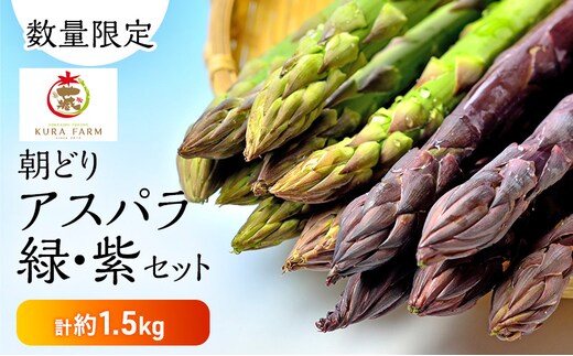 【2027年5月より発送】北海道 富良野市産 アスパラ 緑・紫(サイズ混合) 計約1.5kg セット 食べ比べ 朝どり 露地 アスパラガス 詰め合わせ 野菜 新鮮 数量限定 先着順【藏ファーム】