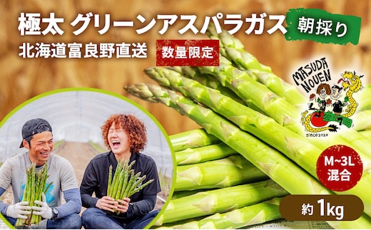 【数量限定・2027年4月～発送】富良野 益田農園産 極太 グリーンアスパラガス ≪M～3L混合≫ 約1kg アスパラ 北海道 富良野市 緑アスパラ 野菜 とれたて 朝採り 限定 数量限定 (益田農園)