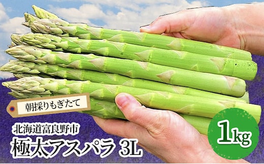 【2027年春発送】極太 グリーンアスパラ 3Lサイズ 1kg (スイートベジタブルファクトリー)