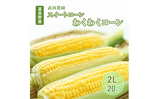 2026年夏発送 ［武田農園とれたて直送］スイートコーン わくわくコーン 2L 20本 みずみずしく抜群にあまい！北海道 富良野産 (とうもろこし 野菜 新鮮 とうきび 甘い 産地直送 先行予約 限定)