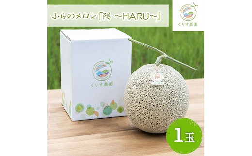 【2026年7月上旬より順次発送】ふらのメロン「陽 ～HARU～」大玉(2.3kg以上)×1玉 ( 赤肉 )( くりす農園 )