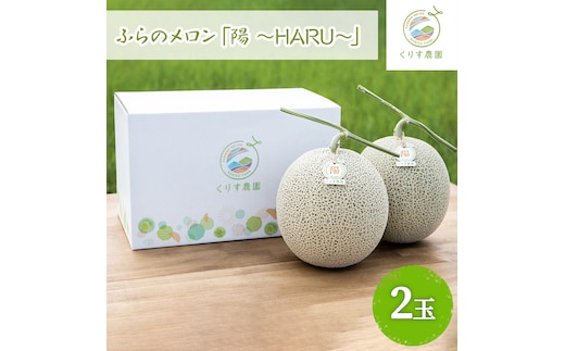 【2026年7月上旬より順次発送】ふらのメロン「陽 ～HARU～」大玉 2玉 計4.6kg以上 ( 赤肉 )( くりす農園 )