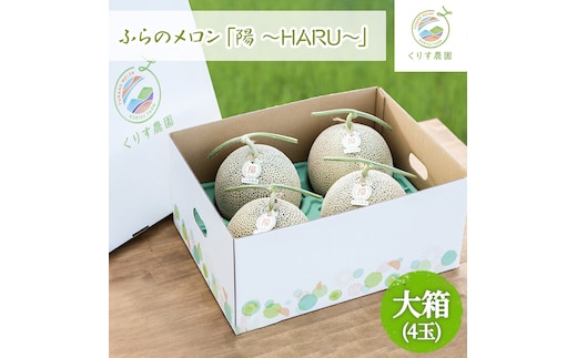 【2026年7月上旬より順次発送】ふらのメロン「陽 ～HARU～」大箱(8kg以上：大玉×4玉) ( 赤肉 )( くりす農園 )