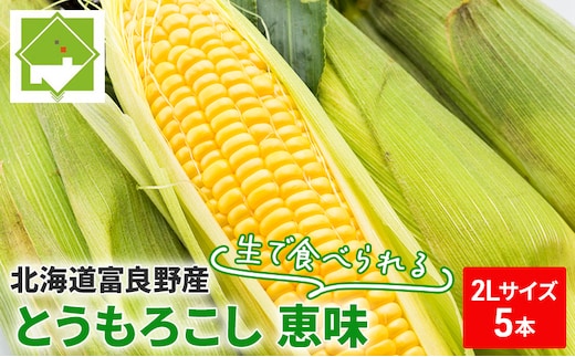【2026年夏発送】富良野産 生で食べられる とうもろこし【恵味（めぐみ）】 2Lサイズ 5本