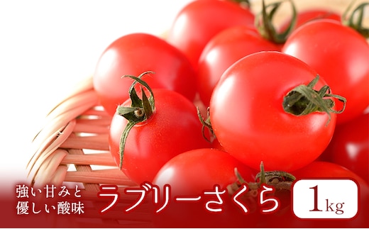 【2026年夏発送】ふらの ミニトマト 1kg（品種：ラブリーさくら）北海道 富良野市 野菜 新鮮 直送 トマト 道産 ふらの 送料無料 数量限定 先着順