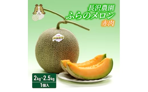 【先行受付 2026年発送】ふらのメロン 赤肉 大玉 ジャンボ 1玉入 (2kg～2.5kg) 北海道 富良野 メロン 夏 果物 フルーツ ギフト 長沢農園