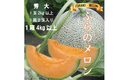 2026年夏発送【先行受付】 ふらのメロン 赤肉 秀大2玉 計4kg以上 富良野メロン 赤肉 めろん 北海道 甘い 大きい 果物 フルーツ