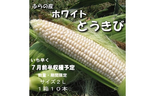 2026年夏発送【数量・期間限定】一足早く7月前半出荷予定 ふらの産 ホワイトとうきび10本［2L］ホワイトショコラ 富良野 北海道 とうもろこし 甘い 白 野菜 果物 朝採り