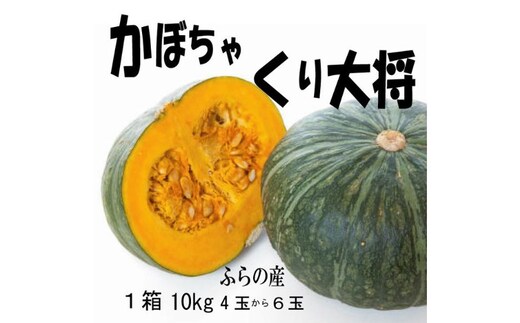 2026年秋発送【数量・期間限定】ふらの産 かぼちゃ10kg［くり大将］ 富良野 北海道 カボチャ 南瓜 甘い 野菜