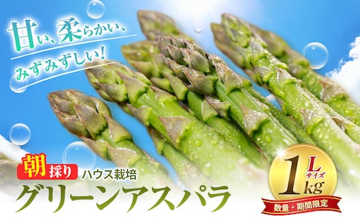 2027年春発送 ふらの産 グリーンアスパラ1kg［Lサイズ］ハウス栽培 富良野 北海道 野菜 アスパラ 朝採り アスパラガス