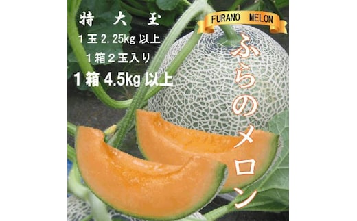 2026年夏発送【先行受付】 ふらのメロン 赤肉 特大玉2玉 計4.5kg以上 富良野メロン 赤肉 めろん 北海道 甘い 大きい 果物 フルーツ