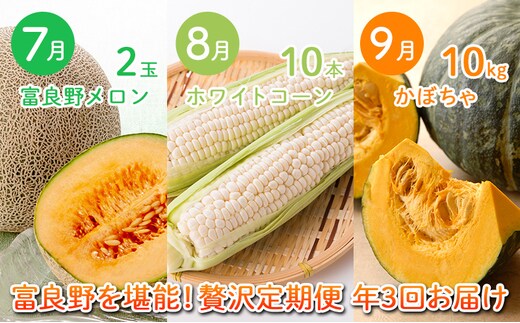 2026年夏～発送 富良野を堪能！贅沢 定期便 年3回 北海道 富良野産 とうもろこし メロン かぼちゃ 野菜 ふらの とうきび