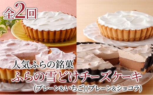 【定期便】人気ふらの銘菓 ふらの雪どけチーズケーキ (プレーン・いちご)(プレーン・ショコラ)2品×全2回 《2ヵ月連続お届け》 イチゴ ショコラ チーズケーキ 菓子 ケーキ スイーツ カステラ 冷凍 定期 お楽しみ 北海道 富良野 富良野市
