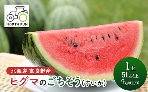 【2026年夏発送】富良野産 ヒグマのごちそう(すいか)[1玉 5L以上 9kg以上/玉] スイカ 果物