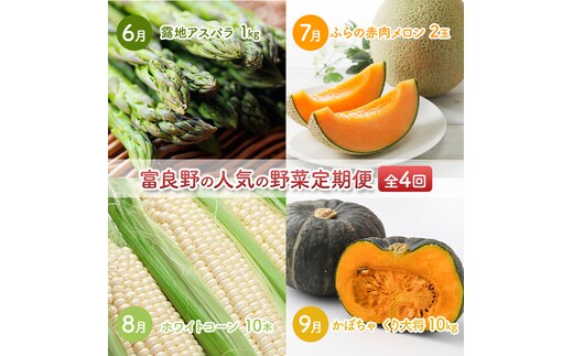 2027年夏～発送 富良野の人気の野菜 定期便 年4回 北海道 富良野産 とうもろこし メロン かぼちゃ 野菜 ふらの とうきび アスパラ かぼちゃ 美味しい 甘い